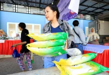 Penyaluran Beras SPHP Melonjak, Stabilkan Harga Pangan Nasional