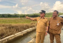 Wawali Balikpapan Sidak Kawasan Pertanian, Pacu Brigade Pangan Kota