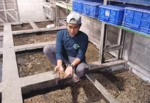 TPST 3R Muara Jawa, Rumah Maggot yang Menjaga Lingkungan dan Menggerakkan Ekonomi