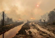 Kabut Asap Karhutla Belum Berdampak di Kalimantan Timur