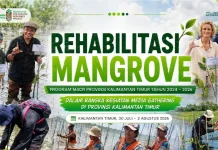 M4CR Targetkan Rehabilitasi 12 Ribu Hektare Mangrove di Kaltim