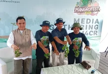 Masyarakat Jadi Ujung Tombak Rehabilitasi Mangrove di Anggana
