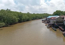 M4CR Dorong Desa Sepatin Jadi Kawasan Ekowisata Mangrove Kaltim
