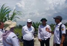 Marangkayu Jadi Lokasi Pengembangan Pertanian Modern