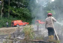 Karhutla Hanguskan Setengah Hektare Lahan di Barong Tongkok