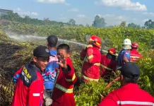 Karhutla Tiga Hektare di Sangasanga Berhasil Dipadamkan Petugas