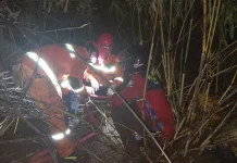 Karhutla Dua Hektare di Tenggarong Seberang Berhasil Dipadamkan