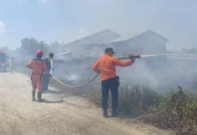 Kebakaran Lahan dan Limbah Sabut Kelapa Berhasil Dipadamkan di Saloloang