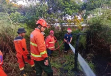 BPBD PPU Pastikan Karhutla di Nenang Tak Sisakan Titik Api