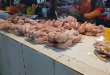 Harga Ayam dan Ikan Naik, Pasokan Tekan Harga Cabai di Samarinda