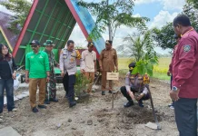 Polsek Babulu dan Warga Tanam Bibit, Hijaukan Lingkungan Sambut HUT RI Ke-81
