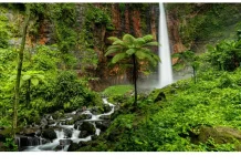 Deforestasi Hutan Adat di Kalimantan Timur Ancam Lingkungan dan Masyarakat