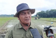 Samarinda Ubah Lahan Eks Tambang Menjadi Kawasan Pertanian Produktif