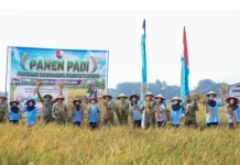TNI AU Panen 17,5 Ton Gabah, Perkuat Ketahanan Pangan untuk MBG