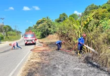 Karhutla di Babulu Diduga Dipicu ODGJ, Lahan Warga Terbakar