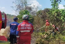 Karhutla Hanguskan Satu Hektare Semak Belukar di Muara Komam