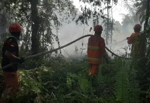 Cuaca Panas Picu Karhutla di Empat Titik Sambaliung