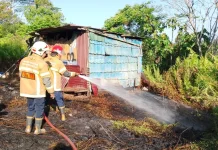 Kebakaran Lahan Melanda Perumahan Taman Sari Balikpapan