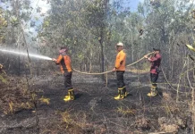 Karhutla Melanda Empat Lokasi di Tanah Grogot Paser