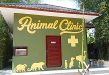 Rumah Ulin Arya Kembangkan Klinik Hewan untuk Konservasi Satwa