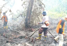 Lima Titik Karhutla Terpantau di Kabupaten Paser