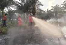 Karhutla Serentak di 13 Titik Melanda Kabupaten Berau