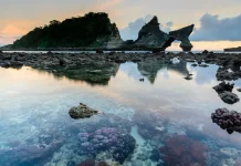 Laut Makin Hangat, Perubahan Iklim Ancam Terumbu Karang