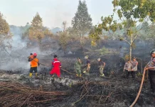Karhutla Lahan Gambut PPU Dipadamkan Kurang dari Satu Jam