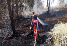 Karhutla Gambut Gunung Seteleng Meluas Capai 4,13 Hektare