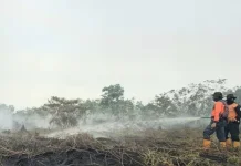 Musim Kemarau, Karhutla Samarinda Capai 35 Kejadian