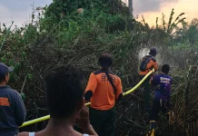 Setengah Hektare Lahan Terbakar di Tanah Grogot