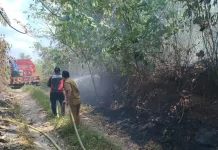 Karhutla Hanguskan Satu Hektare Semak Belukar di Muara Komam