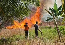 Empat Karhutla Melanda Tanah Grogot Paser