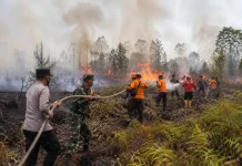 Karhutla Mengintai Kukar, Belasan Kecamatan Terpapar Titik Api