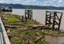 Tumpukan Sampah Ganggu Muara Teras, DLH Bertindak