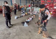 Polda Kaltim dan Bea Cukai Bekuk Pengedar Ganja lewat Control Delivery