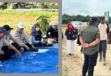 Perkuat PM-AAS, BRMP Kaltim Tinjau Kesiapan Lahan di Penajam Paser Utara