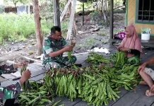 Dari Babinsa hingga Turun ke Sawah, TNI Korem 091/ASN Dorong Petani Kaltim Sejahtera