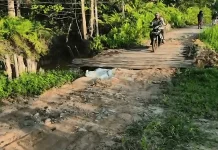 TNI Bangun Jalan Usaha Tani, Akses Petani Kaltim Kini Makin Mudah