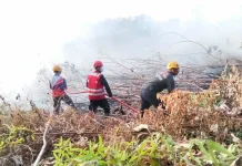 Brimob Kaltim Bersama Instansi Terkait Padamkan Kebakaran Lahan di Batu Ampar