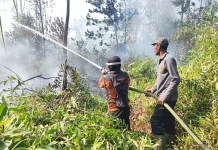 Tiga Titik Karhutla Paser Berhasil Ditangani Tim Gabungan