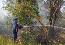 Karhutla Bakar Satu Hektare Lahan Gambut di Penajam