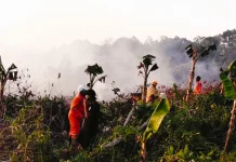 Kebakaran Lahan Dua Hektare Terjadi di Balikpapan Utara