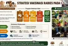 DPKH Kaltim Dorong Vaksinasi Rabies Minimal 70 Persen
