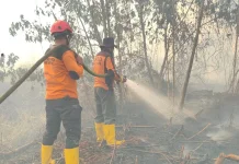 Tujuh Titik Karhutla Melanda Kabupaten Paser