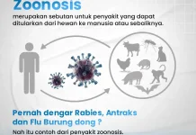 Dinkes Kaltim Perkuat Deteksi Dini Hadapi Ancaman Zoonosis