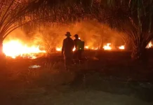 Paser Status Siaga Karhutla Hadapi Musim Kemarau hingga Oktober 2026