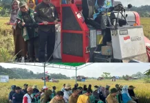 Panen Perdana PM-AAS Dorong Produktivitas Padi dan Kemandirian Pangan Kaltim