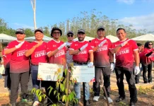 1.708 Pohon Ditanam di DAS Sanggai IKN, OIKN Tekankan Perawatan Berkelanjutan