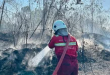 Karhutla Hanguskan Dua Hektare Lahan di Sangasanga Kabupaten Kutai Kartanegara